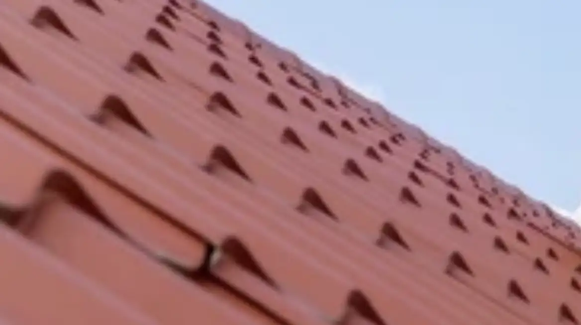 Lámina Standing Seam Roof