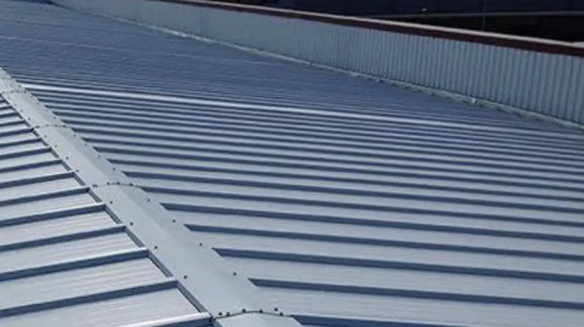 Panel Standing Seam Roof (SSR)